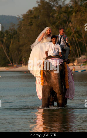 Koh Samui, Hochzeit für Ausländer, klicken Sie auf See, mit Elefant, Thailand, 2014 Stockfoto