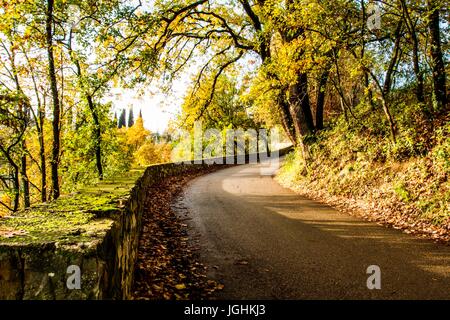 Straße bei Impruneta mit typischen Landschaft aus der Region der Toskana. Florenz, Provinz Florenz, Italien. 16.12.2012 Stockfoto