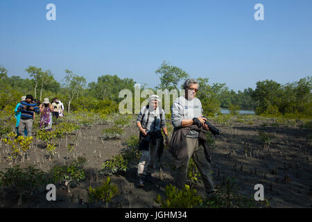 Einheimische und ausländische Touristen Wandern in das Nilkomol Waldgebiet Sundarbans, ein UNESCO-Weltkulturerbe. Khulna, Bangladesh Stockfoto