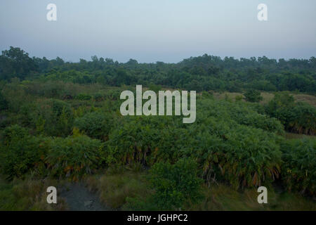 Die Sundarbans, ein UNESCO-Weltkulturerbe und ein Naturschutzgebiet. Die größte littoral Mangrovenwald der Welt. Katka, Bagerhat, Bangladesch. Stockfoto