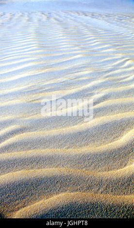 Ingleses Strand Dünen, Florianopolis, Santa Catarina - Brasilien Stockfoto