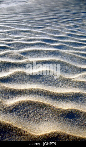 Ingleses Strand Dünen, Florianopolis, Santa Catarina - Brasilien Stockfoto