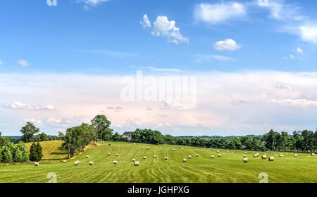 Heuballen verstreut über die grünen sanften Felder auf dem Maryland Bauernhof zur Erntezeit Stockfoto