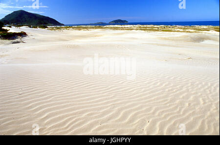 Ingleses Strand Dünen, Florianopolis, Santa Catarina - Brasilien Stockfoto