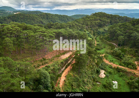 Kiefernwald - Vogelperspektive Ansicht - von Dalat-Seilbahn zur Truc Lam Pagode. Dalat, Vietnam. Stockfoto