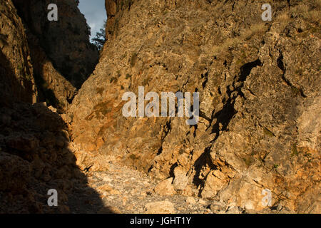 Aradena-Schlucht ist eine tiefe Kalkstein-Schlucht läuft aus der Lefka Ori oder weißen Berge bis in den Süden Kretas. Heutzutage ist es eine beliebte Wanderung Stockfoto