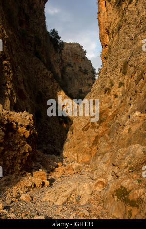 Aradena-Schlucht ist eine tiefe Kalkstein-Schlucht läuft aus der Lefka Ori oder weißen Berge bis in den Süden Kretas. Heutzutage ist es eine beliebte Wanderung Stockfoto