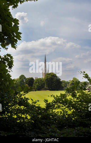 Außenseite der Norwich Kathedrale In Norfolk UK Stockfoto