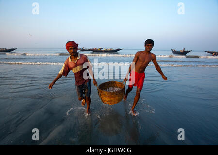 Fischer tragen ihre Fänge auf Dublarchar in der Eastern Division der Sundarbans Wald. Bagerhat, Bangladesch. Stockfoto