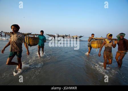 Fischer tragen ihre Fänge auf Dublarchar in der Eastern Division der Sundarbans Wald. Bagerhat, Bangladesch. Stockfoto