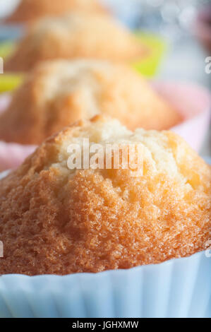 Nahaufnahme (Makro) aus einer Reihe von plain Vanilla Cupcakes in hellen Pastelltönen Silikon Fällen, frisch gebacken und schmucklos. Stockfoto