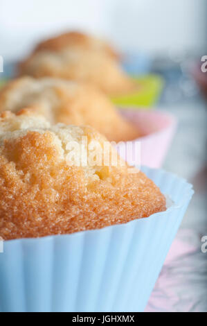 Nahaufnahme (Makro) aus einer Reihe von plain Vanilla Cupcakes in hellen Pastelltönen Silikon Fällen, frisch gebacken, schmucklos und ruht auf einer Folie abgedeckt Backen t Stockfoto