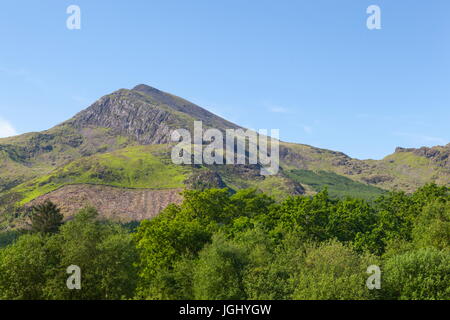 MOEL Hebog betrachtet von Beddgelert Waldrand Stockfoto