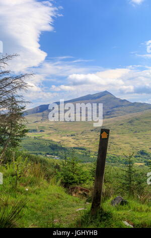 Ein öffentlicher Fußweg Zeichen scheint weisen den Weg zum Gipfel des Snowdon von Beddgelert Wald Stockfoto