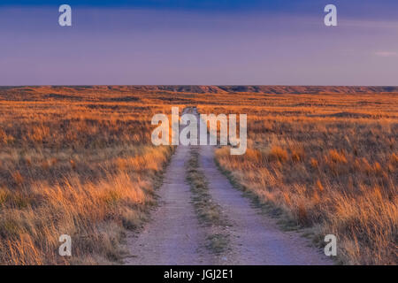 Straße durch Shortgrass Steppe Grasland Grünland auf dem Bureau of Land Management Land in der Nähe von Caprock im östlichen New Mexico, USA Stockfoto