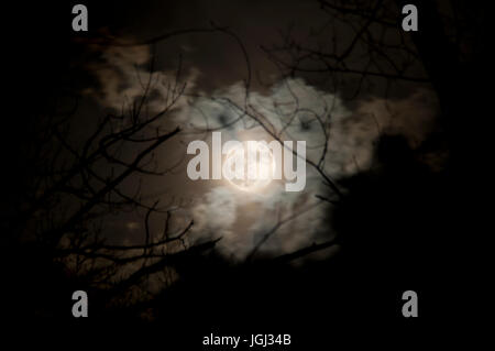 Gruselige Mond Stockfoto