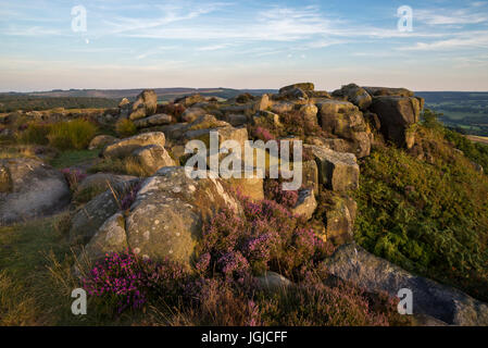 Schönen Sommerabend am Baslow Rand, Peak District, Derbyshire, England. Stockfoto