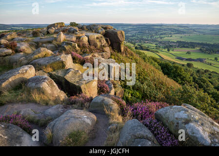 Schönen Sommerabend am Baslow Rand, Peak District, Derbyshire, England. Stockfoto