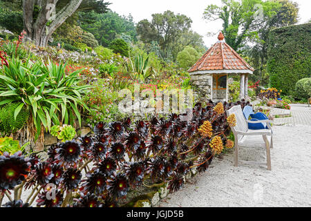 Das Shell-Haus, entworfen von Lucy Dorrien-Smith in Tresco Abbey Gardens, Tresco Insel, Isles of Scilly, England, Vereinigtes Königreich. Stockfoto