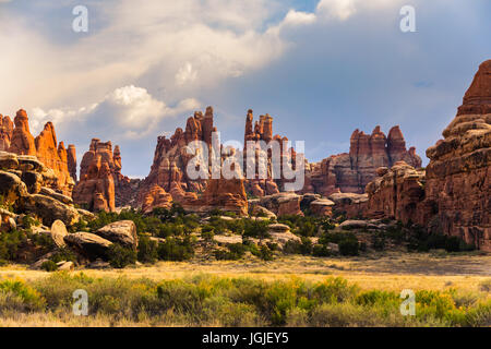 Die Aussicht vom Campingplatz Devils Küche mit Blick in Richtung Chesler Park in Canyonlands National Park, Utah, USA Stockfoto