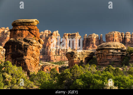 Der Sonnenaufgang vom Teufel Küche Campingplatz mit Blick in Richtung Chesler Park in Canyonlands National Park, Utah, USA Stockfoto