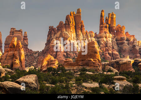 Der Sonnenaufgang vom Teufel Küche Campingplatz mit Blick in Richtung Chesler Park in Canyonlands National Park, Utah, USA Stockfoto