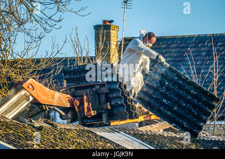 Ein Mann durch das Tragen von schützender Kleidung während der Entfernung von Asbest Dacheindeckung aus einer alten Scheune. Lincolnshire, England, UK. Stockfoto