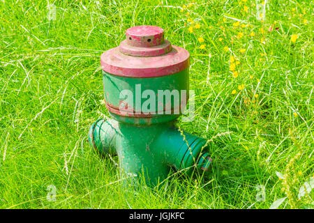 Kleine grüne Hydrant auf einer Wiese Stockfoto