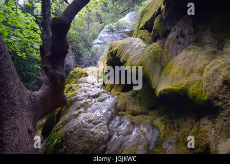 Moosbedeckten Felsen und Wasserfall in der Verdon-Schlucht-Provence-Frankreich Stockfoto