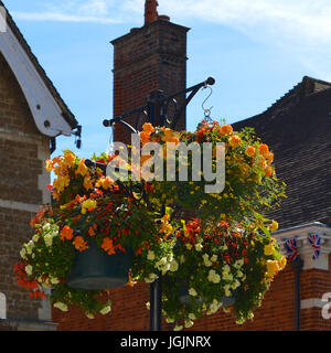 Farnham, Großbritannien. 7. Juli 2017. RHS Britain in Bloom 2017 Wettbewerb findet in Farnham in Surrey. Freitag, 7. Juli 2017. Foto: Credit: Lindsay Constable/Alamy Live-Nachrichten Stockfoto