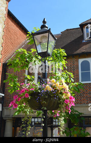 Farnham, Großbritannien. 7. Juli 2017. RHS Britain in Bloom 2017 Wettbewerb findet in Farnham in Surrey. Freitag, 7. Juli 2017. Foto: Credit: Lindsay Constable/Alamy Live-Nachrichten Stockfoto