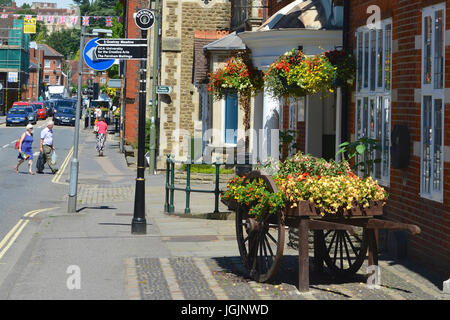 Farnham, Großbritannien. 7. Juli 2017. RHS Britain in Bloom 2017 Wettbewerb findet in Farnham in Surrey. Freitag, 7. Juli 2017. Foto: Credit: Lindsay Constable/Alamy Live-Nachrichten Stockfoto