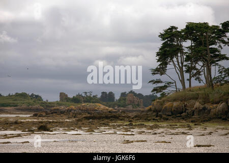Einer ruhigen Bucht an der östlichen Küste von Île de Bréhat bei Ebbe: Côtes-d ' Armor, Bretagne, Frankreich Stockfoto