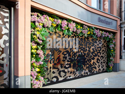 Blütenpracht von Boutique 1 während der RHS Chelsea Flower Show Stockfoto