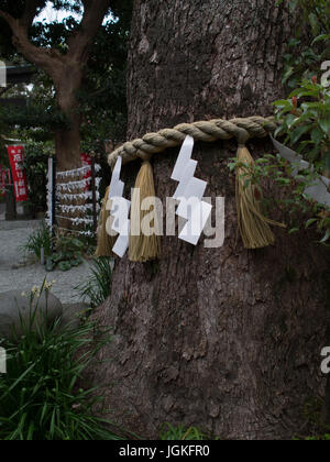 Beispiellose Zick Zack Papier Stramers auf Shimenawa Seil um heilige Baum mit Omikuji Vermögen hinter. Stockfoto