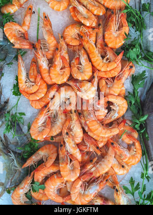 Meeresfrüchte auf einem provenzalischen Markt rohe Riesengarnelen mit stall und Garnelen essen bereit. Stockfoto