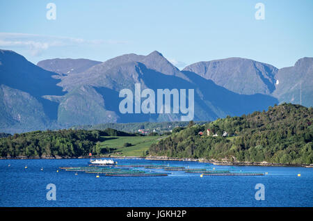 Lachszucht in einem norwegischen fjord Stockfoto