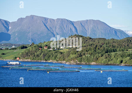 Lachszucht in einem norwegischen fjord Stockfoto