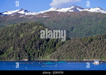 Lachszucht in einem norwegischen fjord Stockfoto