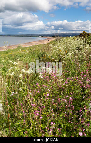 Stadt von Fortrose, Schottland. Malerische Aussicht auf die Rosemarkie Bay Strand mit Chanonry Point Leuchtturm im Hintergrund. Stockfoto