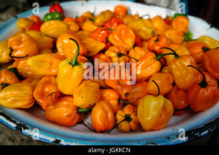 Chili peppers, The Gambia, Westafrika Stockfoto