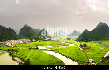 Atemberaubende Reis Sichtfeld mit Karsterscheinungen in Guangxi, China Stockfoto