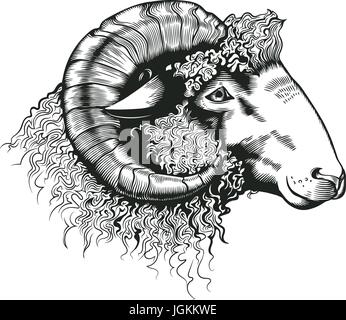 Leiter der Ram handgezeichnete in antiken Stil zu ätzen. Tiere Tier isoliert auf weißem Hintergrund. Vektor-Illustration in monochromen Farben für Metzgerei Schriftzug, Bauernhof Produkte Werbung, Banner. Stock Vektor