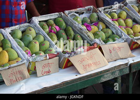 Verschiedene Sorten von Mangos zum Verkauf an Mango und Sharbat Mela, 2017 abgehaltenen Dilli Haat, Pitampura, Delhi, Indien Stockfoto