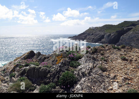 Mizen Head, Ring of Kerry, Irland, IE Stockfoto