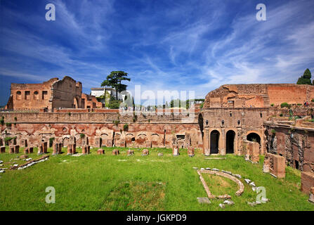 Das Stadion des Domitian (Stadio di Domiziano) oder "Zirkus Agonalis" auf Palatin (Palatin), Rom, Italien. Stockfoto