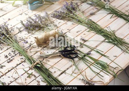 Blumengeschäft hausgemacht, kleine Sträuße aus Lavendel, für seine Trocknung Prozess, kleine Business-Konzept erstellen Stockfoto