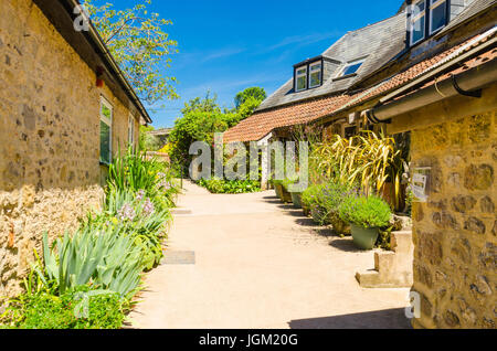 Bauernhof, Haus und Nebengebäude Sidmouth Devon England UK Stockfoto