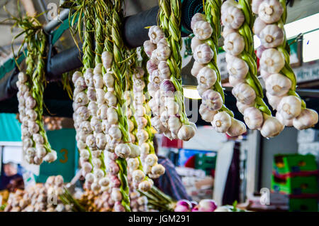 Nahaufnahme von vielen Knoblauch Zwiebeln hängen zusammen gebunden in Bauernmarkt am display Stockfoto