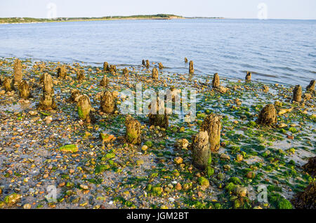 Wellfleet Strand während des Sonnenuntergangs mit alten Pier und das Meer in Cape Cod Stockfoto